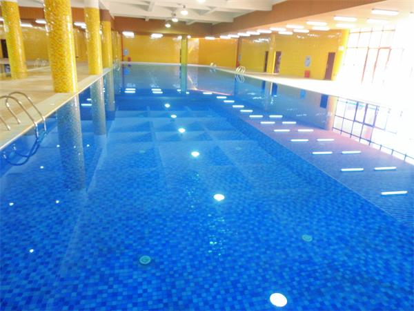 游泳池水泵厂家,泳池水泵厂家,游泳池水泵